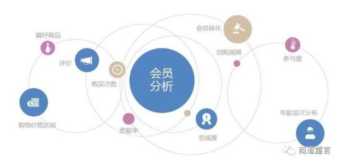 創(chuàng)新引擎 驅(qū)動企業(yè)數(shù)字化轉(zhuǎn)型與網(wǎng)絡(luò)技術(shù)服務(wù)的核心動力
